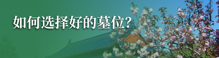 崇明瀛新园